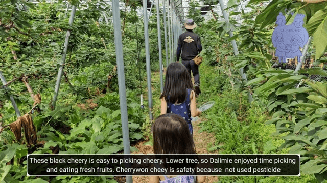 #9 한국 경남 함양 한달 살기 - 채리가 체리원에 가다-3