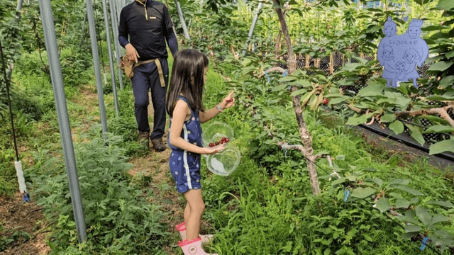 #9 한국 경남 함양 한달 살기 - 채리가 체리원에 가다-4