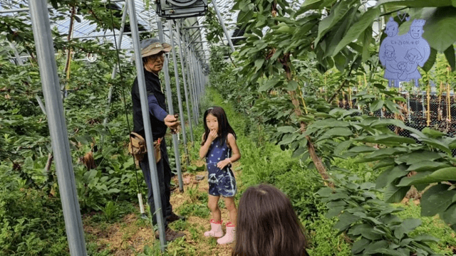 #9 한국 경남 함양 한달 살기 - 채리가 체리원에 가다-5