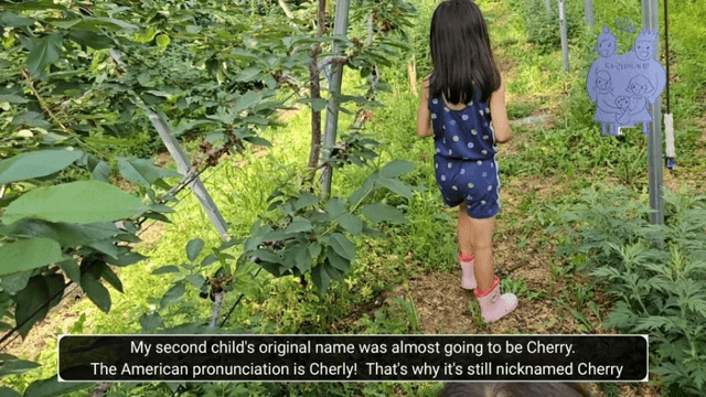 #9 한국 경남 함양 한달 살기 - 채리가 체리원에 가다-6