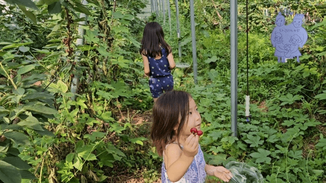 #9 한국 경남 함양 한달 살기 - 채리가 체리원에 가다-8