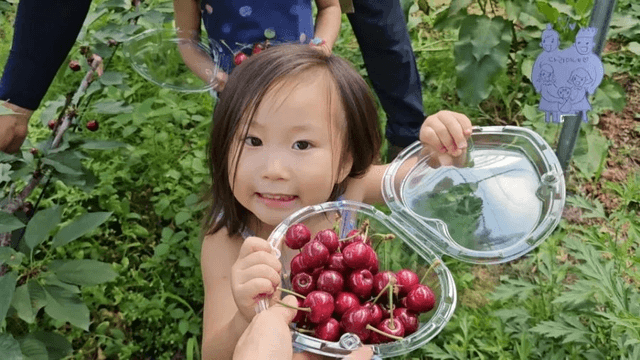 #9 한국 경남 함양 한달 살기 - 채리가 체리원에 가다-9