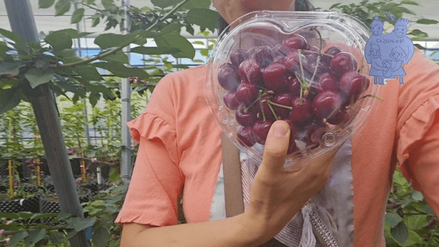 #9 한국 경남 함양 한달 살기 - 채리가 체리원에 가다-10