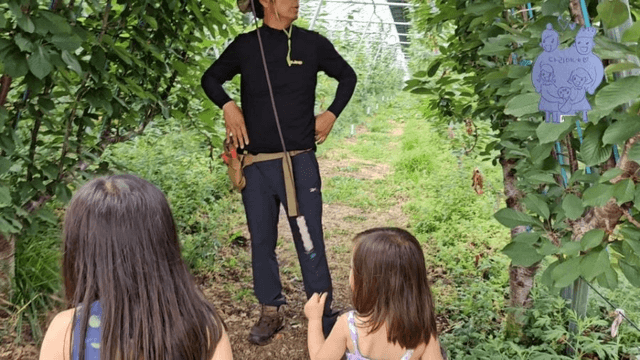 #9 한국 경남 함양 한달 살기 - 채리가 체리원에 가다-11