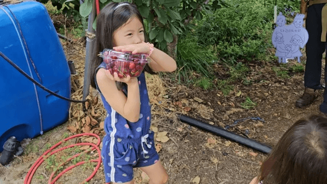 #9 한국 경남 함양 한달 살기 - 채리가 체리원에 가다-12