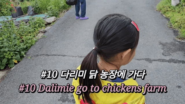 #10 한국 함양에서 한달살기 -다리미 닭농장에 가다-0
