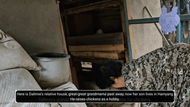 #10 한국 함양에서 한달살기 -다리미 닭농장에 가다-2