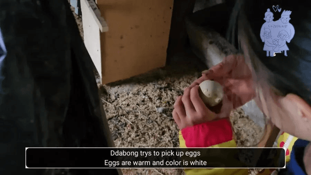 #10 한국 함양에서 한달살기 -다리미 닭농장에 가다-5