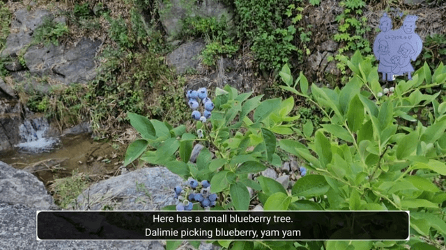 #10 한국 함양에서 한달살기 -다리미 닭농장에 가다-6
