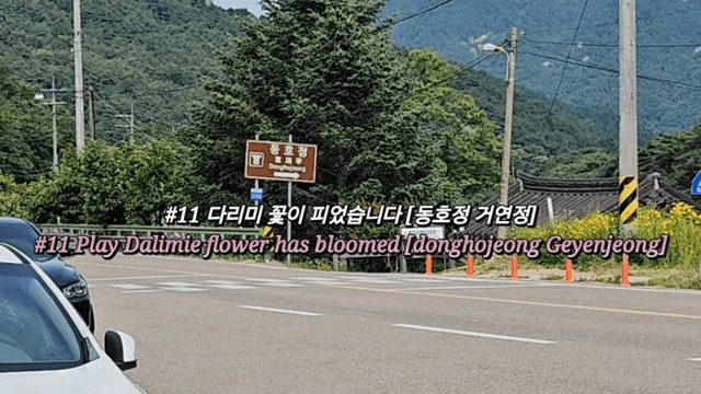 #11 한국 함양에서 한달살기_다리미 꽃이 피었습니다 [동호정,거연정]-0