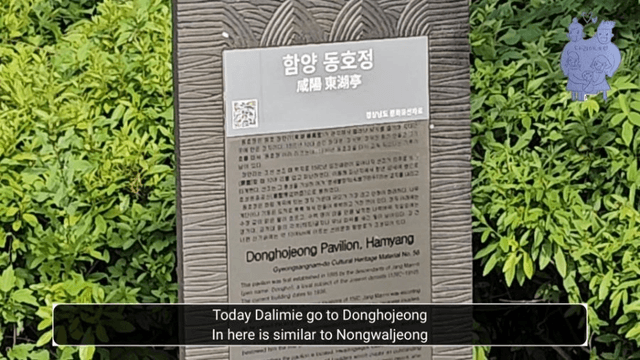 #11 한국 함양에서 한달살기_다리미 꽃이 피었습니다 [동호정,거연정]-2