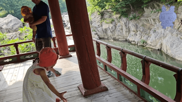 #11 한국 함양에서 한달살기_다리미 꽃이 피었습니다 [동호정,거연정]-13