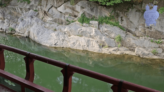 #11 한국 함양에서 한달살기_다리미 꽃이 피었습니다 [동호정,거연정]-16