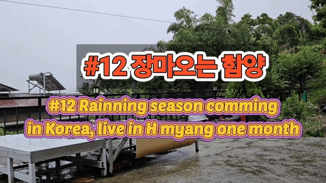 #12 [함양 한달 살기] 장마가 시작된 한국-0
