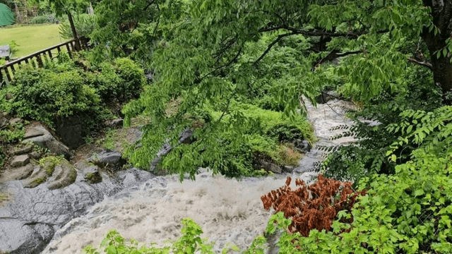 #12 [함양 한달 살기] 장마가 시작된 한국-2