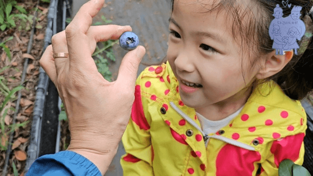 #14 [한국 함양 한달 살기] 블루베리 피킹-9