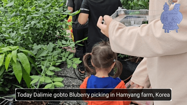 #14 [한국 함양 한달 살기] 블루베리 피킹-1