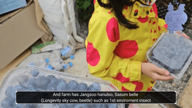 #14 [한국 함양 한달 살기] 블루베리 피킹-15