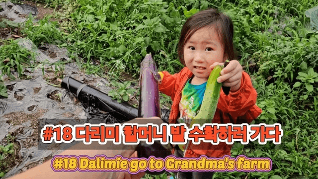 #18 [함양 한달살기] 다리미 할머니 밭에 가다-0