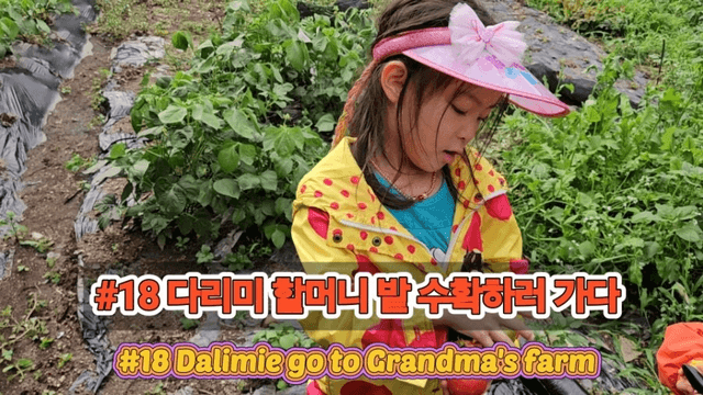 #18 [함양 한달살기] 다리미 할머니 밭에 가다-1