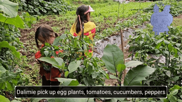 #18 [함양 한달살기] 다리미 할머니 밭에 가다-3