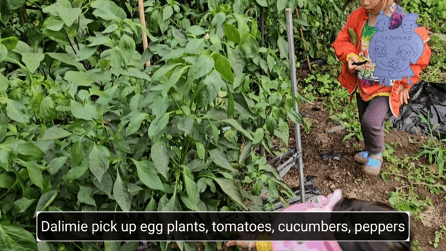 #18 [함양 한달살기] 다리미 할머니 밭에 가다-4