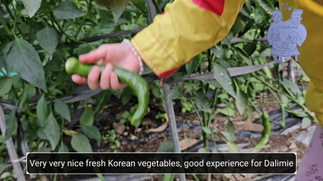 #18 [함양 한달살기] 다리미 할머니 밭에 가다-5