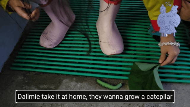 #18 [함양 한달살기] 다리미 할머니 밭에 가다-13