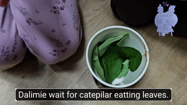 #18 [함양 한달살기] 다리미 할머니 밭에 가다-14