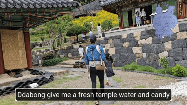 19 [함양 한 달 살기] 다리미 지리산 자연휴양림 & 벽송사에 가다-7