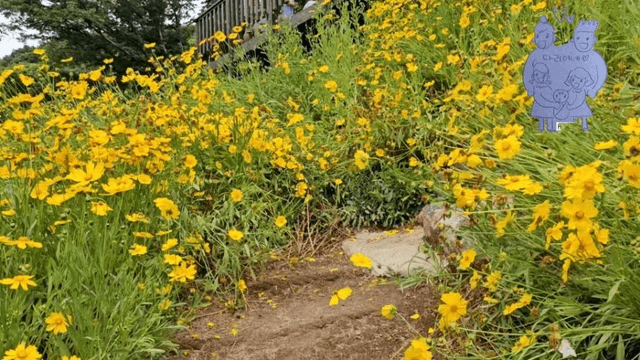 19 [함양 한 달 살기] 다리미 지리산 자연휴양림 & 벽송사에 가다-10