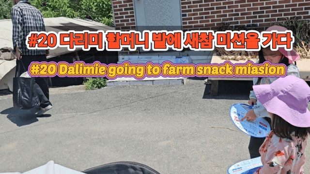 #20 [함양 한달살기] 다리미 고랭지 채소밭 새참 미션-0