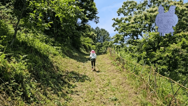 #20 [함양 한달살기] 다리미 고랭지 채소밭 새참 미션-4