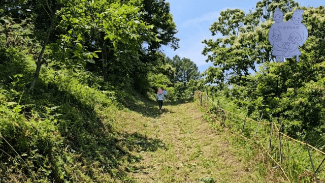 #20 [함양 한달살기] 다리미 고랭지 채소밭 새참 미션-5