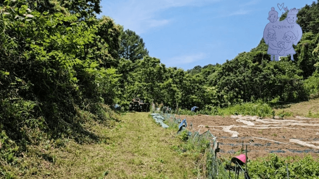 #20 [함양 한달살기] 다리미 고랭지 채소밭 새참 미션-6