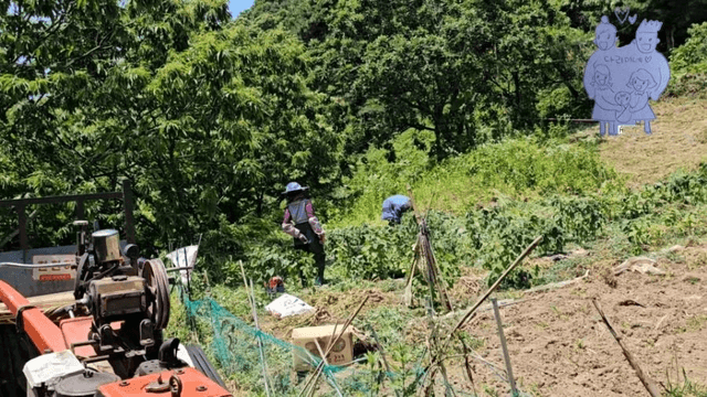 #20 [함양 한달살기] 다리미 고랭지 채소밭 새참 미션-9