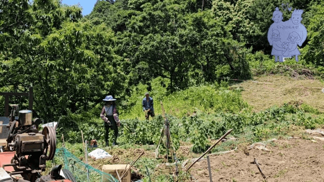 #20 [함양 한달살기] 다리미 고랭지 채소밭 새참 미션-10