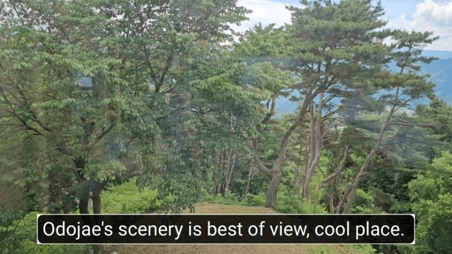 #21 [함양 한달살기] 다리미 오도재에 가다-5