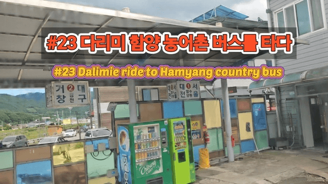 #23 [함양 한 달 살기] 다리미 함양 농어촌 버스를 타다-0