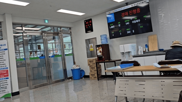 #29 [함양 한 달 살기] 함양 우시장 경매를 체험하다-10