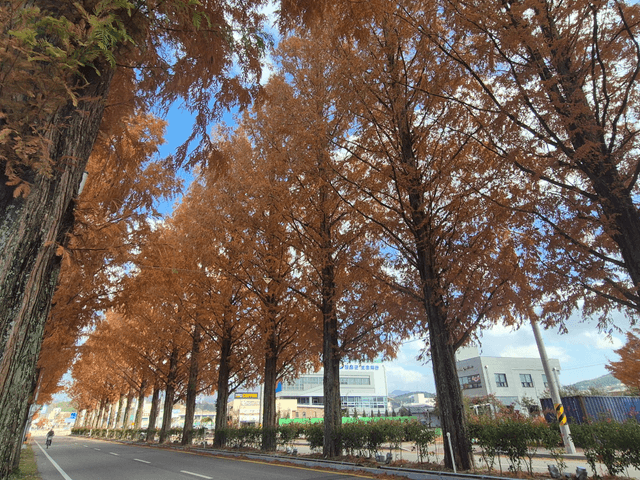 어머니의 품 장흥! -1