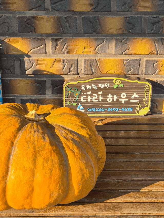 어머니의 품 장흥! -4