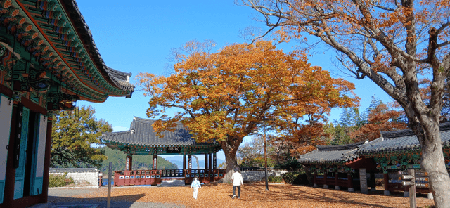 한국어항공사 어촌체험 통영-0