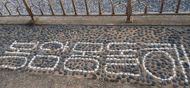 한국어항공사 어촌체험 통영-4