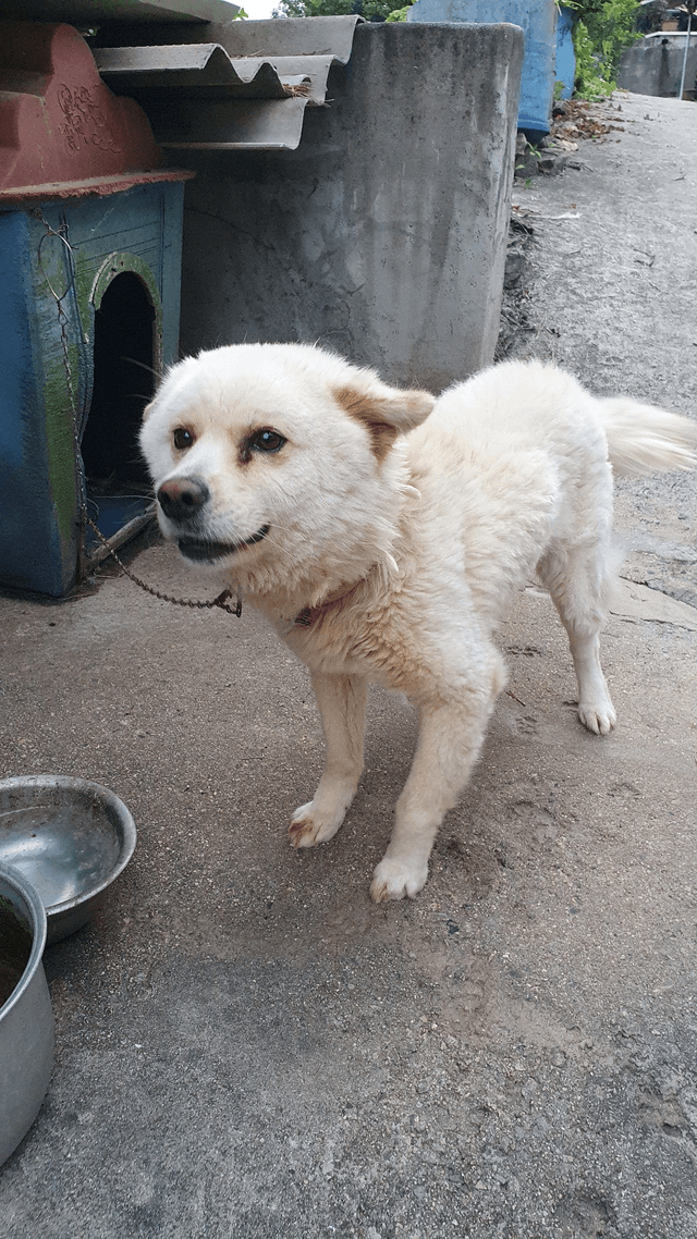 여수섬살이 섬박람회 홍보대사 되기-2