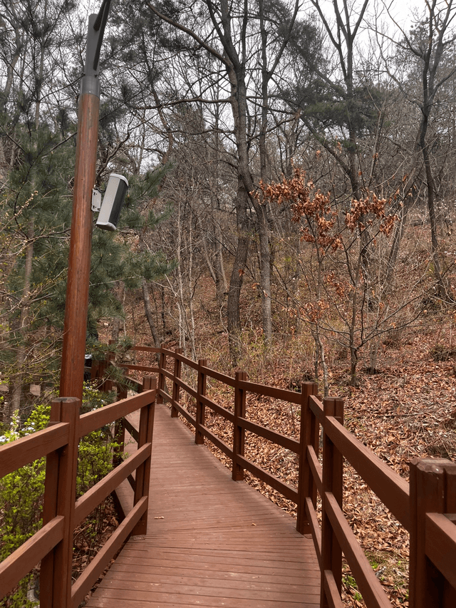 너무 힐링됐던 대전 숲체원 후기-4