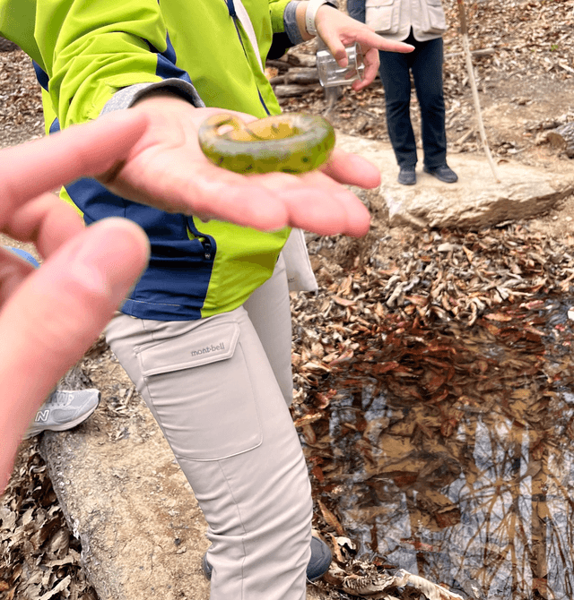 너무 힐링됐던 대전 숲체원 후기-5