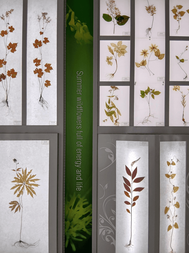 남원 청년누리투어-14