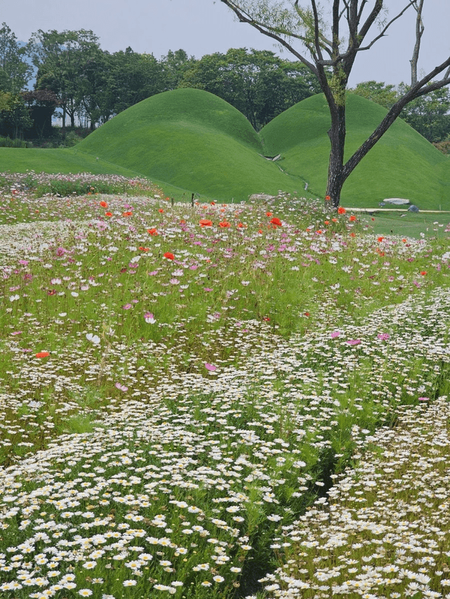 완도 일주일 살기 후기-0