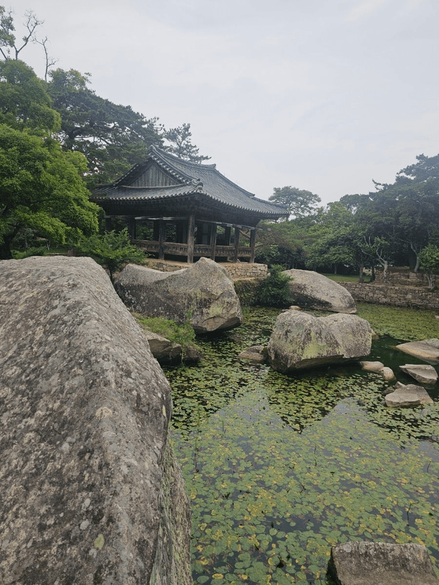 완도 일주일 살기 후기-1